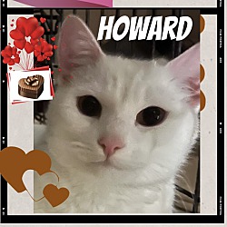 Photo of Howard