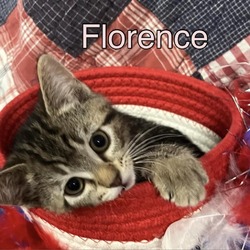 Thumbnail photo of Florence #4