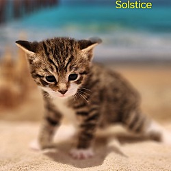 Photo of Solstice