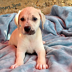 Thumbnail photo of Mary Jane~adopted! #3