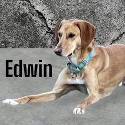 Photo of Edwin
