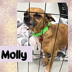 Thumbnail photo of Molly #2