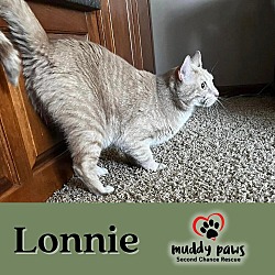 Thumbnail photo of Lonnie #2