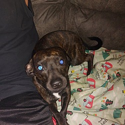Photo of Zeus