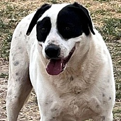 Photo of Beamer JuM*
