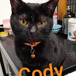 Photo of Cody