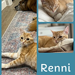 Photo of Renni
