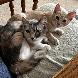 Photo of Miss Dolly