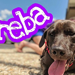 Thumbnail photo of Reba #4