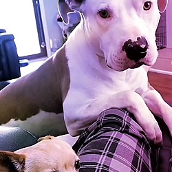 Photo of Reggie