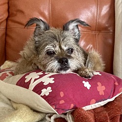 Photo of Sophie