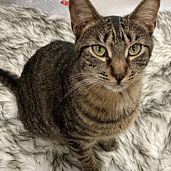 Photo of Derby