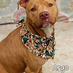 Thumbnail photo of Argo #1