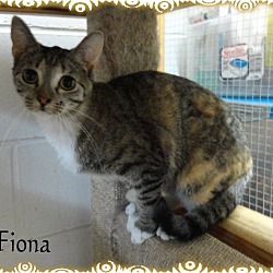 Thumbnail photo of Fiona #2