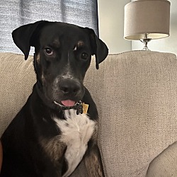 Photo of Tizzy