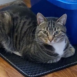 Photo of Monte