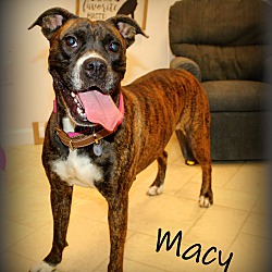Thumbnail photo of Macy ~ meet me!! #3