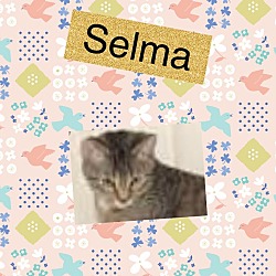 Photo of Selma