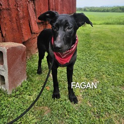 Photo of Fagan