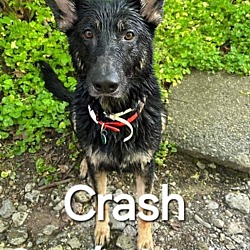 Thumbnail photo of Crash #4