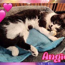 Thumbnail photo of Angie #1