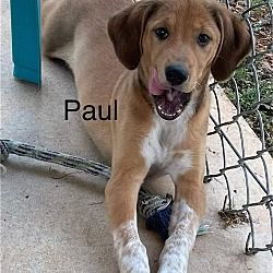 Photo of Paul: Not at the shelter
