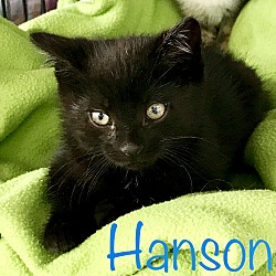 Thumbnail photo of Hanson #1