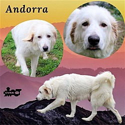 Photo of Andorra (Ritzy)