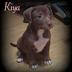 Thumbnail photo of Kiya #1