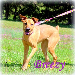 Thumbnail photo of Breezy ~ meet me! #2