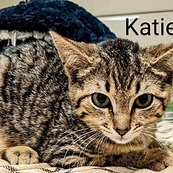 Thumbnail photo of Katie #2