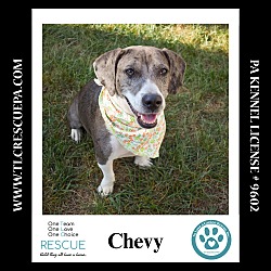 Thumbnail photo of Chevy (Mom to Blazer) 090724 #1