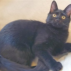 Photo of Salem