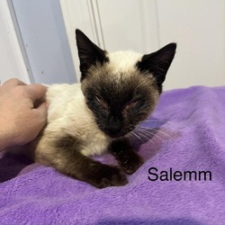 Photo of Salemm
