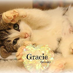 Thumbnail photo of Gracie #3