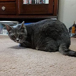 Thumbnail photo of Minnie #3