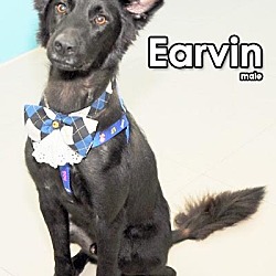 Thumbnail photo of Earvin #2
