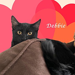 Thumbnail photo of DEBBIE #3