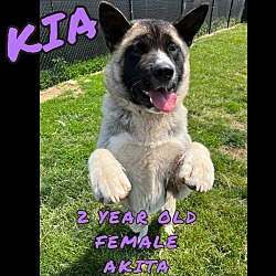 Photo of Kia