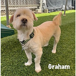 Photo of Graham