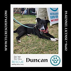 Thumbnail photo of Duncan (Cocoa Krispies) 020324 #4