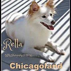Thumbnail photo of Rella #1