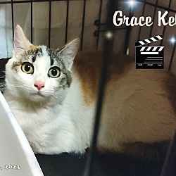 Thumbnail photo of Grace Kelly #1