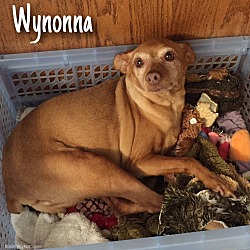 Thumbnail photo of Wynonna #2