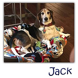 Thumbnail photo of Jack #2