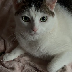 Photo of Astrid