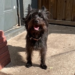 Photo of Artemis