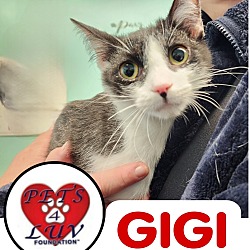 Thumbnail photo of Baby Gigi #4