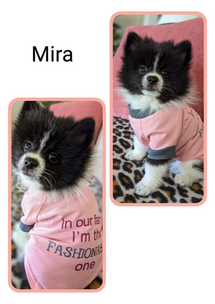 Photo of Mira