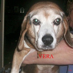 Thumbnail photo of VERA #1